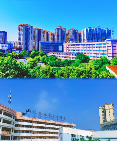 桂林山水职业学院官网地址是什么