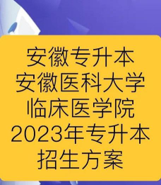 安徽医科大学2023年在西藏各专业招生人数