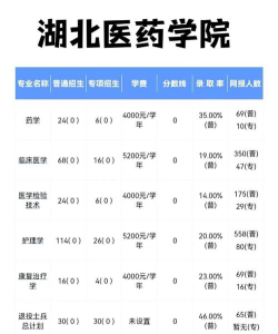 湖北医药学院2023年在西藏各专业招生人数