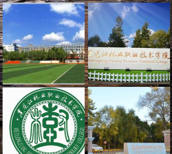 黑龙江林业职业技术学院是211大学吗