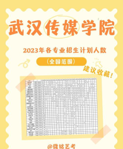 武汉传媒学院2023年在湖南各专业招生人数