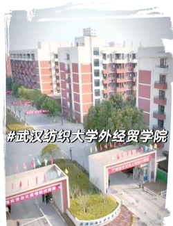 武汉纺织大学外经贸学院是双一流大学吗