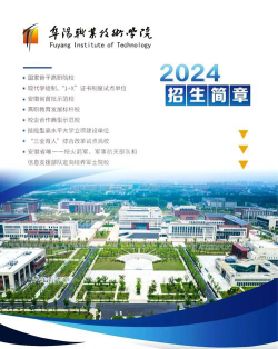 阜阳职业技术学院是双一流大学吗