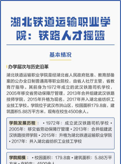 湖北铁道运输职业学院院校代码