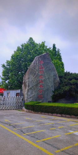 泰山职业技术学院正规吗