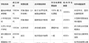2024中国十大武术学院排名 2024中国十大武术学院排名