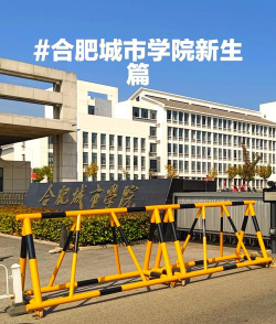 合肥城市学院是985还是211