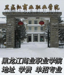 黑龙江商业职业学院是985吗
