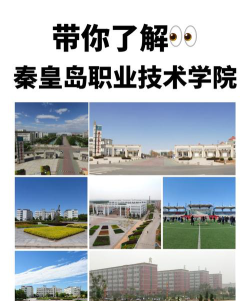 秦皇岛职业技术学院的学校代码是什么