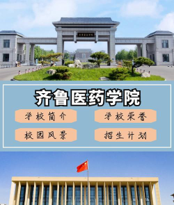 齐鲁医药学院怎么样