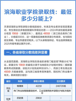 2024年天津滨海职业学院各专业在河北录取分数线