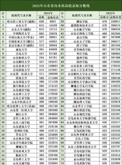 2025年山东393分能够报什么大学