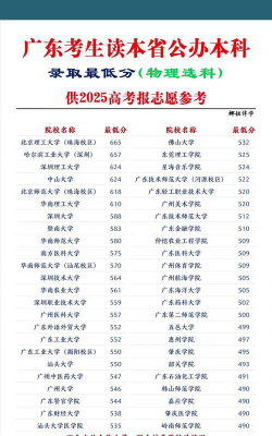 2025年广东物理类513分能够报什么大学