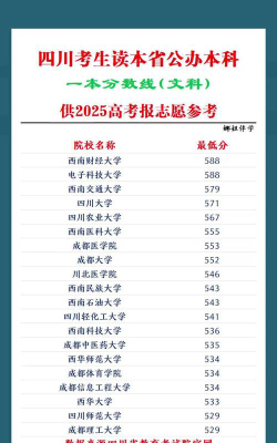 2025年四川文科314分能够报什么大学