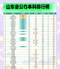 2025年高考山东264分左右能考上哪些学校
