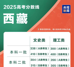 2025年西藏理科294分能够报什么大学