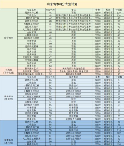 山东外事职业大学2024全国各省招生计划