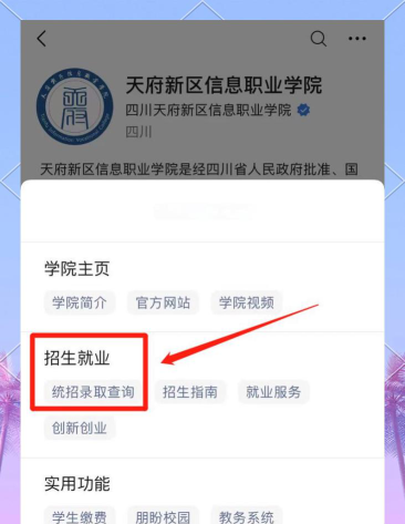 2024年天府新区信息职业学院在山东全部专业录取位次、分数线