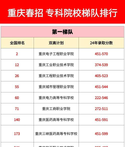 2025年高考重庆295分左右能考上哪些学校