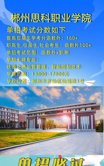 郴州思科职业学院录取分数线2024年多少分?