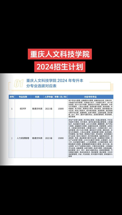 重庆人文科技学院2024年在重庆各专业录取分数线