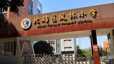 凤林小学环境