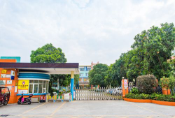 小榄丰华学校环境