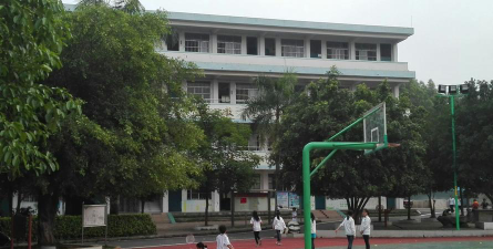 扶绥县育才学校环境