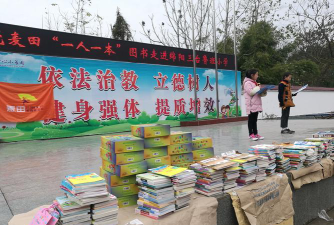 三台县鲁班镇鲁班二村小学环境