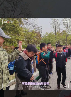 合肥轴承总厂幼儿园环境