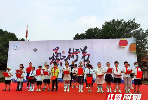 斗姆湖镇中心小学环境