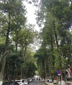 湖南大学师范学院南校区