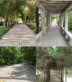 陕西中医药师范大学南校区