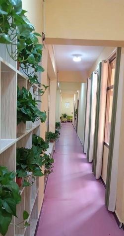 长春市亮典兄弟艺术培训学校有限公司户外活动场地