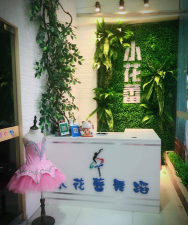 新泰市新汶街道花蕾舞蹈培训学校有限公司户外活动场地