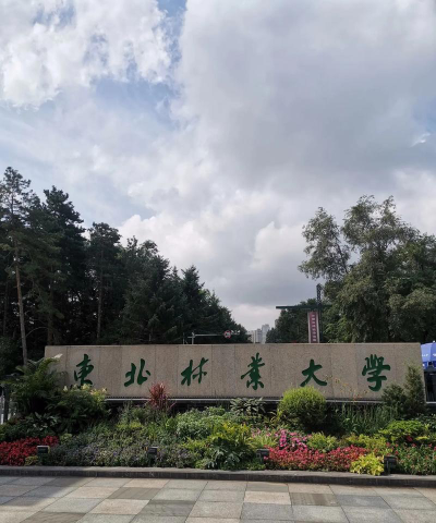 东北林业大学户外活动场地