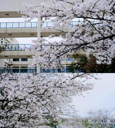 湖北经济学院户外活动场地