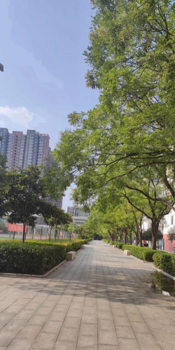 河南省信息工程学校户外活动场地