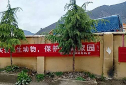 德钦县启萌教育精品培训有限责任公司阅读区