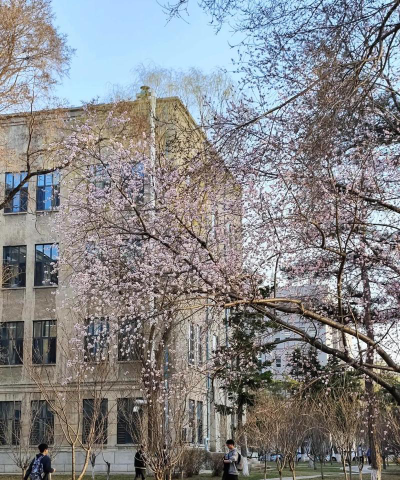 东北大学阅读区