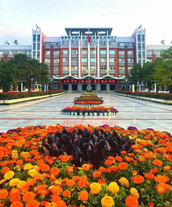 四川绵阳东辰国际学校(中学部)阅读区