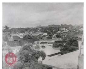 龙州镇中阅读区
