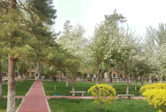 新疆农业大学阅读区