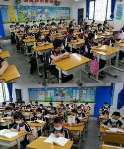 大都学校阅读区