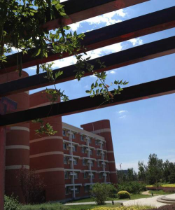 北京市第二中学亦庄学校（南校区）阅读区
