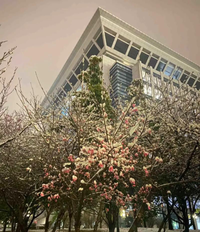 河南财经政法大学阅读区