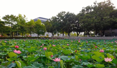 广西大学阅读区