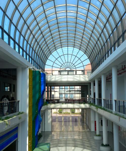 四川国际标榜职业学院阅读区