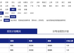 青海大学2025年招生计划