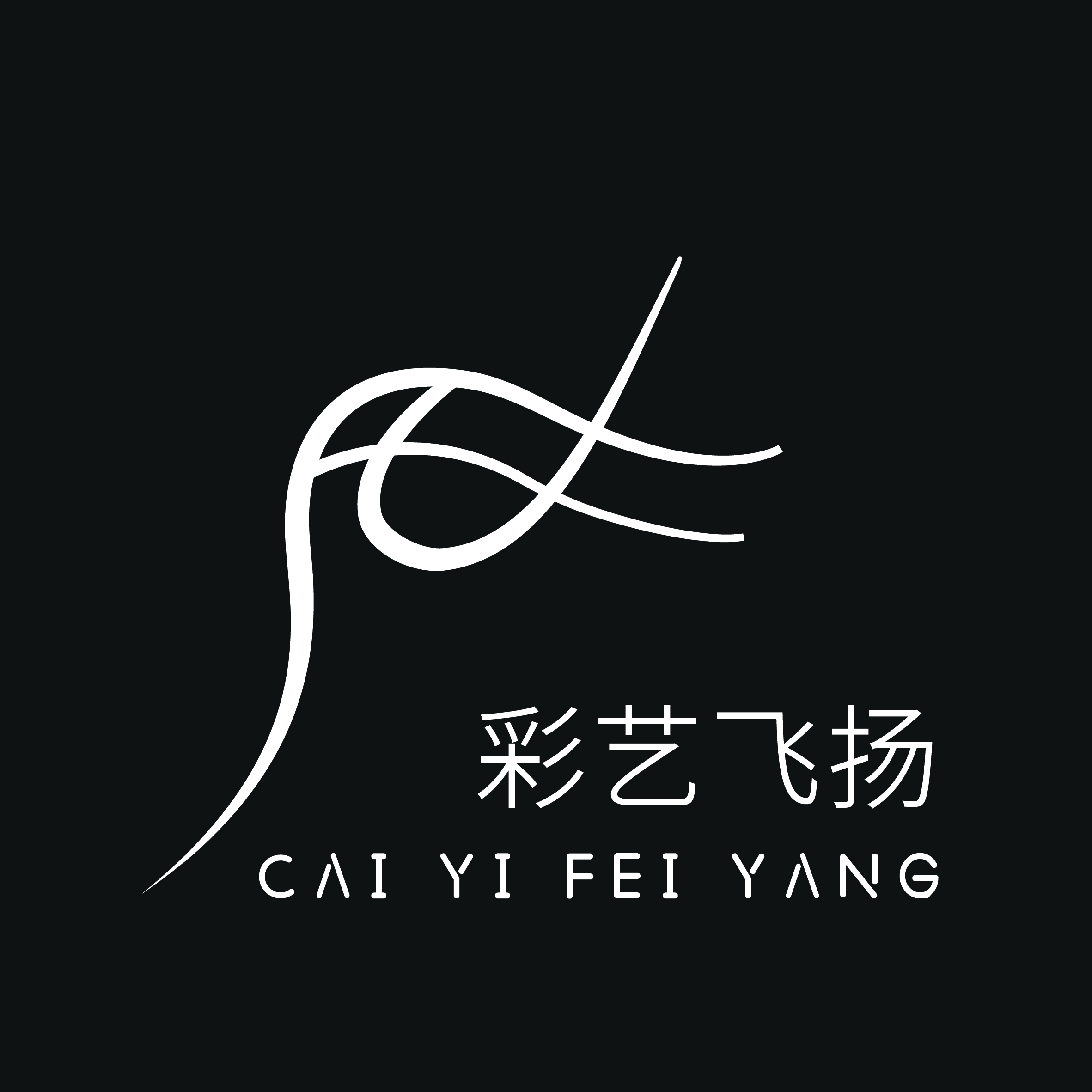 内江市市中区彩艺飞扬艺术培训学校有限公司